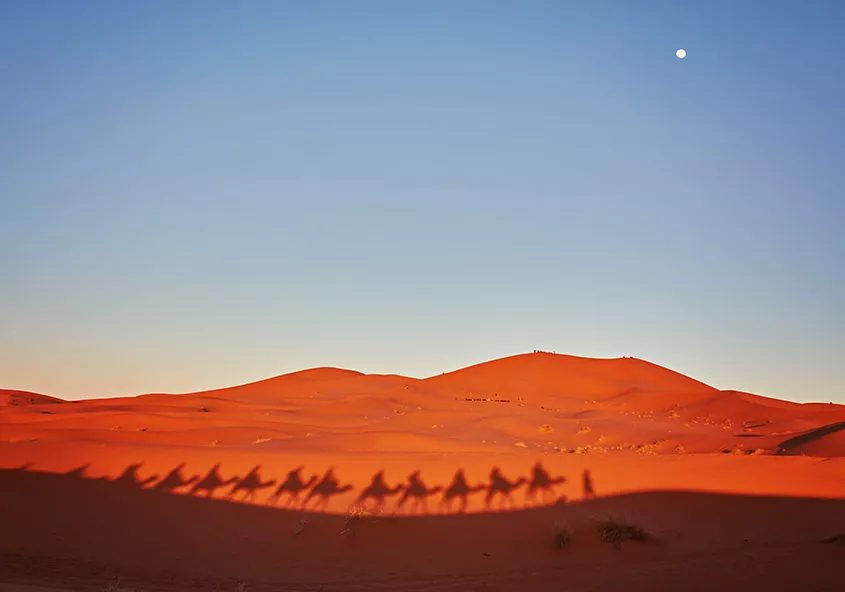 excursion desierto merzouga