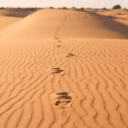 excursion desierto merzouga