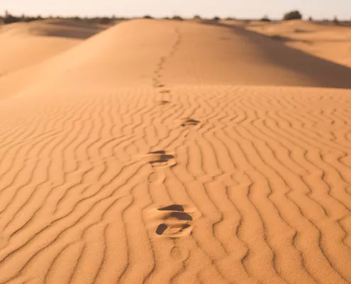 excursion desierto merzouga