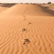 excursion desierto merzouga