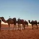 excursiones desierto marruecos