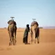 tours desierto marruecos