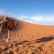 viaje organizado marrakech y desierto